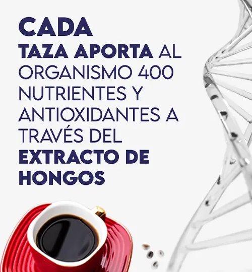 13 Bienestar Pro copia